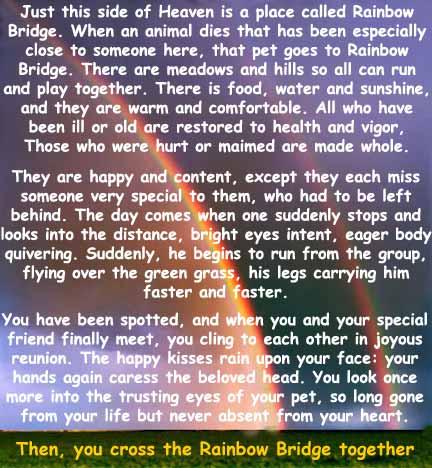 RainbowBridge