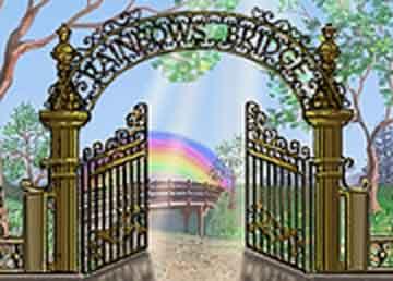 RainbowGate